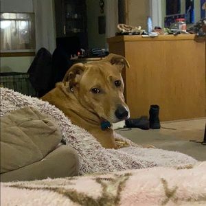 Meet your Posher, Jeni